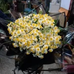 گل فروشی اندیا دسته گل و سبد گل در غرب تهران چیتگر